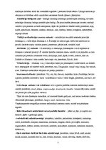 Referāts 'Jaunvārdi interneta tērzētavās', 8.