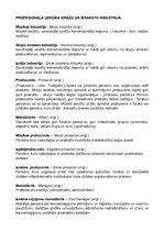 Konspekts 'Profesionālā leksika izrāžu un ierakstu industrijā', 1.