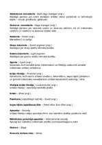 Konspekts 'Profesionālā leksika izrāžu un ierakstu industrijā', 2.