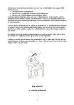 Referāts 'Ergonomika', 16.