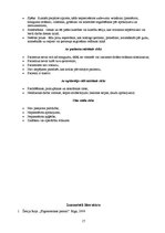 Referāts 'Ergonomika', 17.