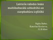 Prezentācija 'Latviešu valodas loma multikulturālā sabiedrībā un starpkultūru izglītībā', 1.