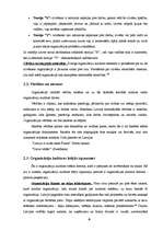 Referāts 'Organizāciju kultūra SEB bankā', 6.