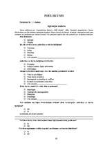 Referāts 'Organizāciju kultūra SEB bankā', 21.