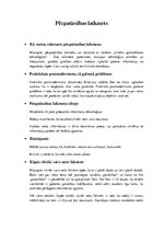 Konspekts 'Pēcpatiesības laikmets', 1.