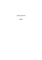 Referāts 'Budžeta deficīts', 1.