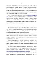 Referāts 'Budžeta deficīts', 7.