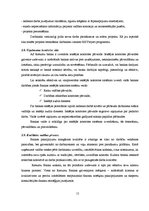 Prakses atskaite 'A/s Rietumu banka', 15.