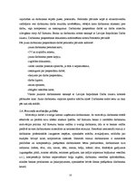 Prakses atskaite 'A/s Rietumu banka', 18.