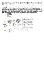 Konspekts 'Augu valsts', 2.