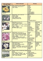 Konspekts 'Augu valsts', 4.