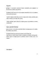 Konspekts 'Personāla aizsardzības līdzekļi ķirurģiskajā klīnikā, to efektivitāte aizsardzīb', 10.