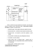 Konspekts 'Makroekonomikas priekšmets, makroekonomiskās aktivitātes mērīšana', 3.