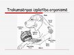 Prezentācija 'Trakumsērga', 9.