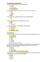 Konspekts 'Ģeogrāfijas XXXIII Valsts olimpiāde. Otrā posma atbildes', 8.