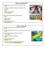 Konspekts 'Ģeogrāfijas XXXIII Valsts olimpiāde. Otrā posma atbildes', 19.