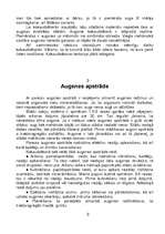 Konspekts 'Bērzs', 2.