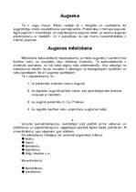 Konspekts 'Bērzs', 3.