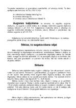 Konspekts 'Bērzs', 4.