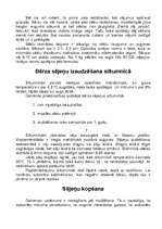 Konspekts 'Bērzs', 5.