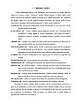 Referāts 'Vadības līmeņi', 4.