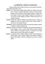 Referāts 'Vadības līmeņi', 7.