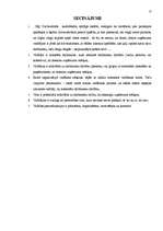 Referāts 'Vadības līmeņi', 13.