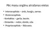 Prezentācija 'Prezentācija vispārējā psiholoģijā', 68.