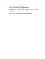 Referāts 'Kultūras dumpis - dadaisms', 20.