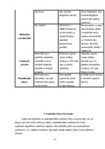 Referāts 'Jauniešu uzņēmējdarbības attīstības izpēte Latgalē', 12.