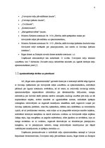 Prakses atskaite 'Bakalaura profesionālo studiju prakses atskaite', 6.