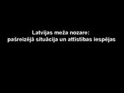 Referāts 'Latvijas meža nozare: pašreizējā situācija un attīstības iespējas', 32.