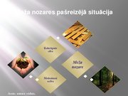 Referāts 'Latvijas meža nozare: pašreizējā situācija un attīstības iespējas', 33.