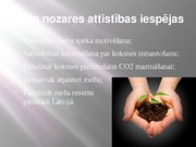 Referāts 'Latvijas meža nozare: pašreizējā situācija un attīstības iespējas', 38.