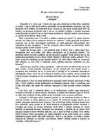 Eseja 'Manas pārdomas par H.Ibsena lugu "Mežapīle"', 1.