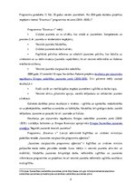 Konspekts 'Jaunatnes starptautiskā sadarbība', 2.