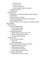 Referāts 'Saistītās runas pilnveidošanās un pašapziņas aktivizēšanās', 29.