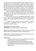 Referāts 'Saistītās runas pilnveidošanās un pašapziņas aktivizēšanās', 47.