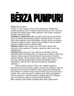 Konspekts 'Bērza pumpuri', 1.