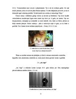 Referāts 'Ētiskie un morālie aspekti Latvijas dokumentālajā kino pēdējo desmit gadu laikā', 12.