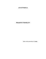 Prakses atskaite 'Prakses atskaite "X Banka"', 1.