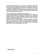 Prakses atskaite 'Prakses atskaite "X Banka"', 6.