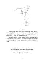 Referāts 'Rekreācijas resursi un kultūrvēsturiskais mantojums Alūksnes rajonā', 13.