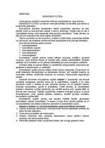 Konspekts 'Kriminālsodu izpildes tiesības Latvijā', 11.