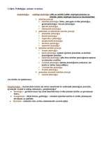 Konspekts 'Psiholoģijas eksāmena atbildes', 4.