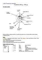 Konspekts 'Psiholoģijas eksāmena atbildes', 7.