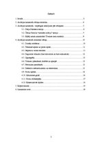 Referāts 'Aviācijas tehnikas katastrofas', 2.