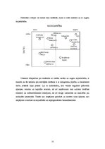 Referāts 'Aviācijas tehnikas katastrofas', 10.