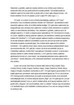 Referāts 'A/s "Laima" pozitīva darba pieredze', 3.