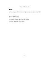 Eseja 'Feminisma analīzes metode Annas Brigaderes pasakā "Mare"', 4.